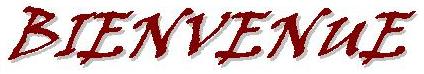 Bienvenue.jpg (11061 bytes)