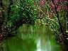 Creek_03.jpg (3284 bytes)
