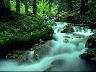 Creek_09.jpg (3072 bytes)
