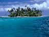 Palms_09.jpg (2385 bytes)
