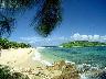 Shore_02.jpg (2842 bytes)