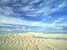 Shore_09.jpg (2377 bytes)