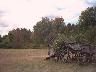 cart.jpg (2244 bytes)