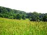 fielde1.jpg (2681 bytes)