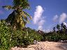 islandz8.jpg (3051 bytes)