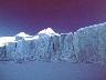 nature29.jpg (1925 bytes)