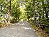 road445.jpg (3689 bytes)
